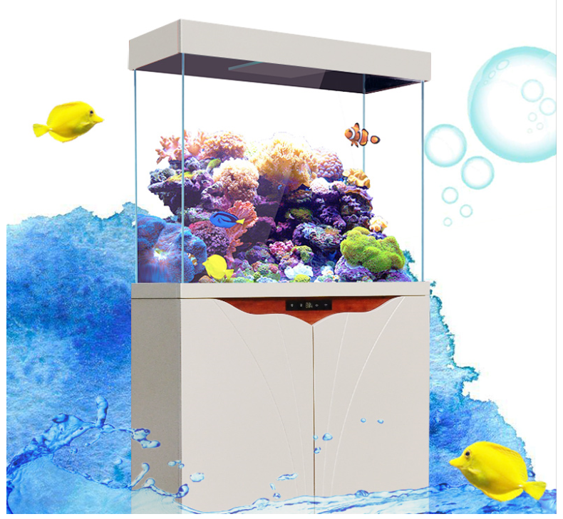 圖片2.png 圖片2.png